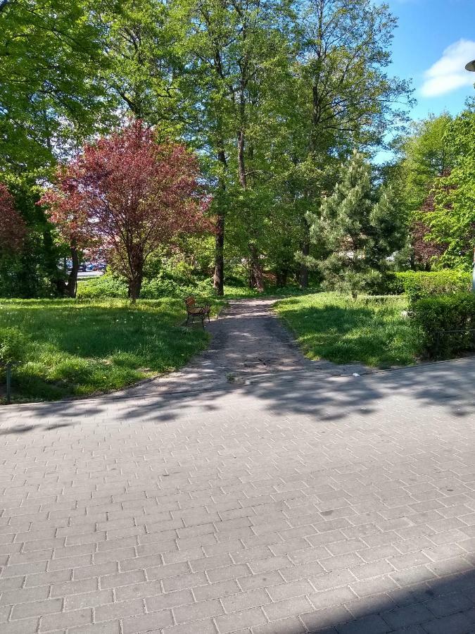Apartament Alfa Lägenhet Stary Toruń Exteriör bild